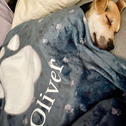 Contenuti generati dagli utenti Recensioni degli utenti