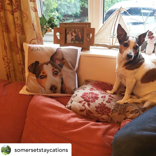 Contenuti Generati dagli Utenti Recensioni degli Utenti