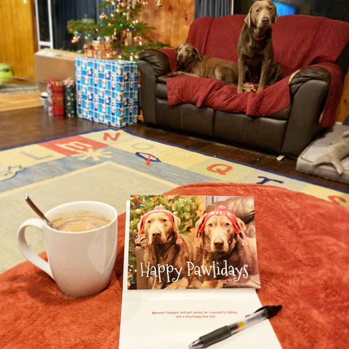 Contenuti Generati dagli Utenti Recensioni degli Utenti