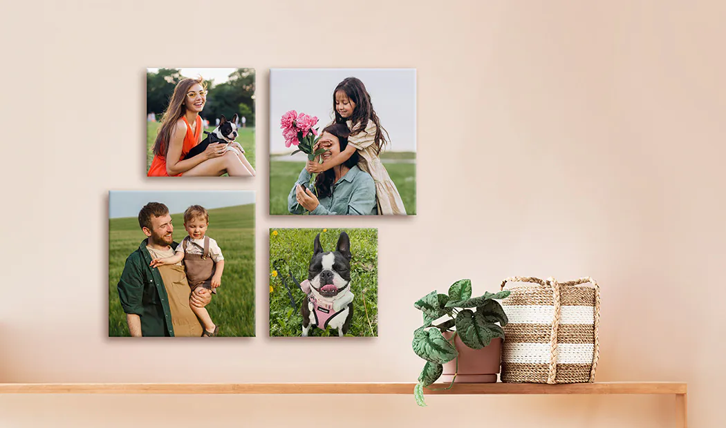 Aumenta le dimensioni