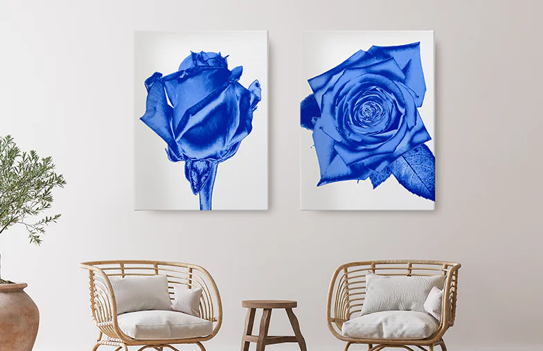 Stampa su tela collage di due amiche felici