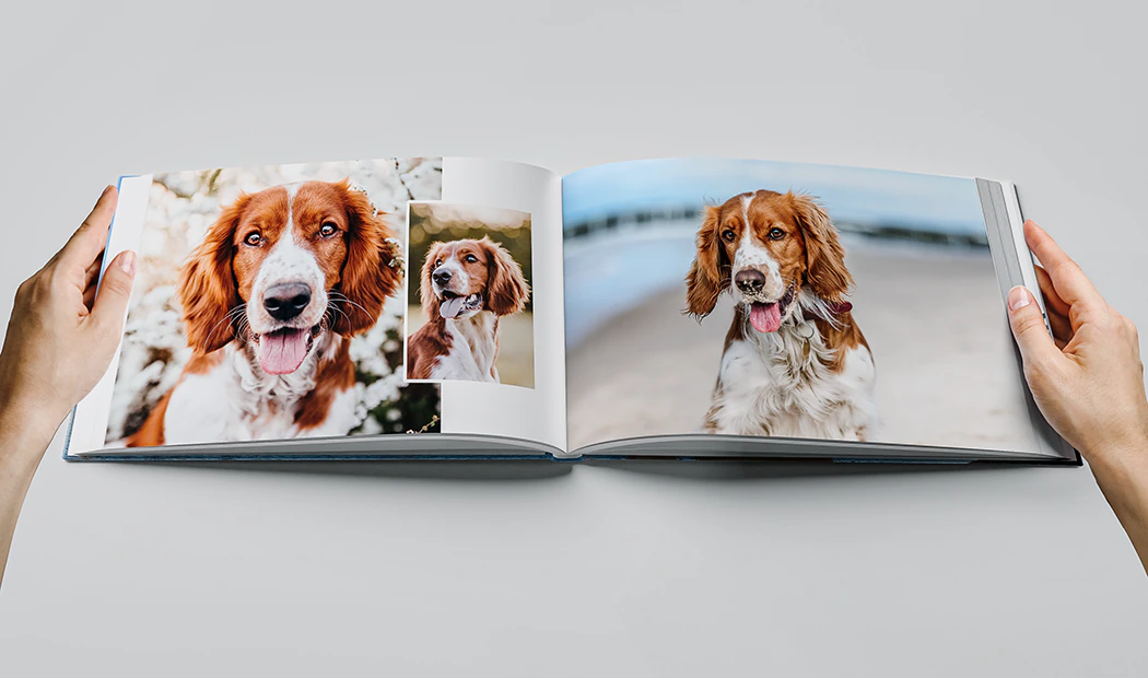 Grandi Album Fotografici in Tessuto