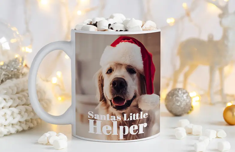 Tazze Foto Personalizzate da Printerpix|Mamma e bambino che tengono una tazza personalizzata con design a cartone animato di Printerpix con testo per papà|Tazza foto personalizzata con immagine di bambino che gattona indossando una tutina da animale|Mamma e figlia che tengono tazze foto personalizzate con foto di famiglia|Coppia che si bacia con tazze personalizzate con testo|Tazza foto personalizzata con la tua foto di un cane