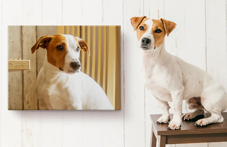 Stampe su Tela Personalizzate con Foto di Printerpix|Stampe su Tela Personalizzate|Stampe su Tela Personalizzate|Stampe su Tela Personalizzate|Stampe su Tela Personalizzate|Stampe su Tela Personalizzate|||||