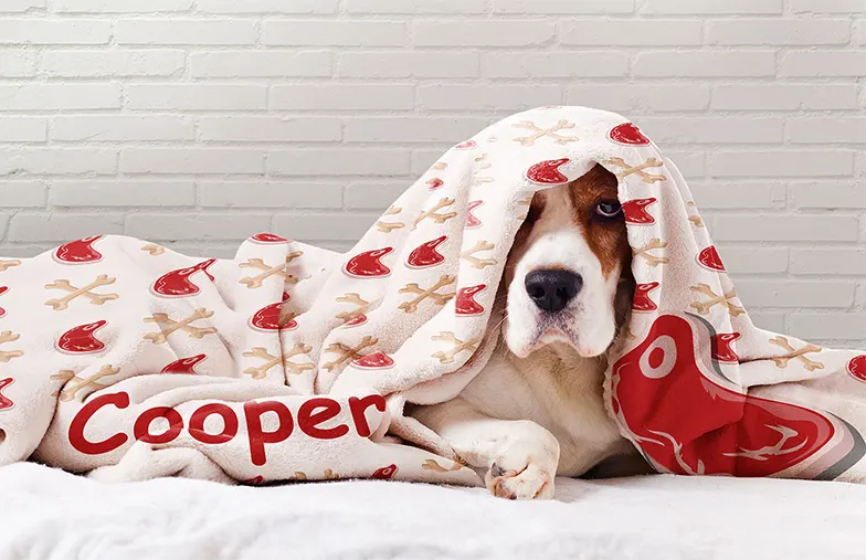 Coperta in pile personalizzata sul divano