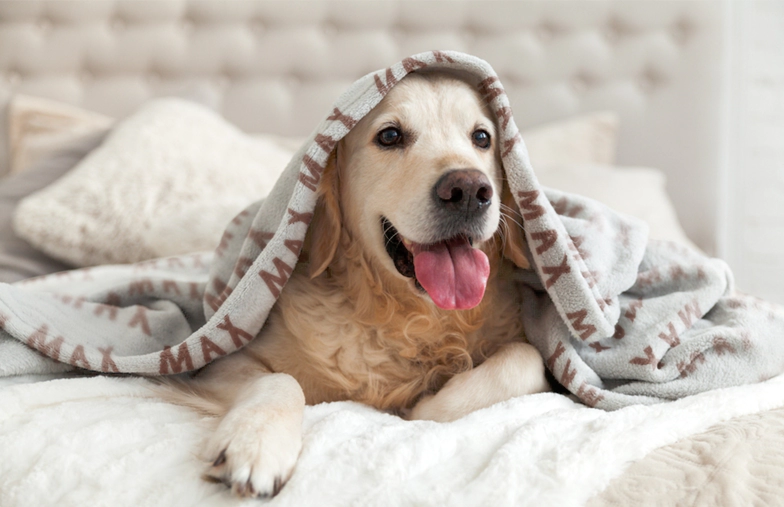 Grande coperta fotografica su letto matrimoniale con foto di ragazza