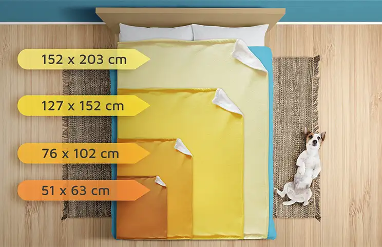 Immagine della coperta fotografica con confronto delle dimensioni