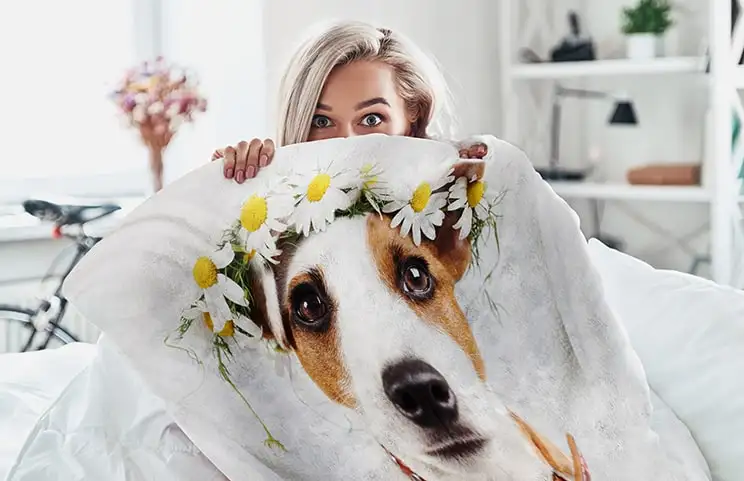 Coperta fotografica in pile toque di vison rosa e bianca di Printerpix con foto di cane
