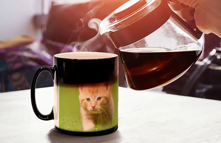 Mano che tiene la tazza magica