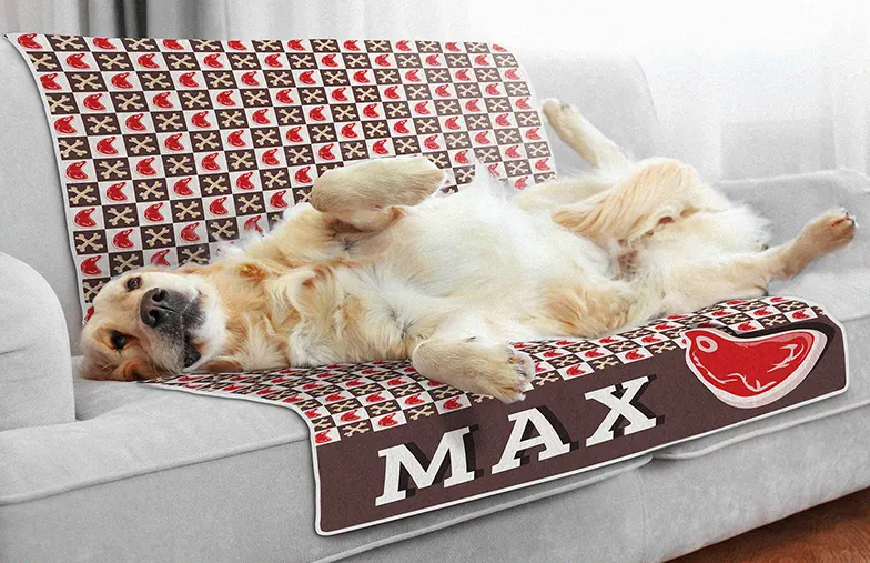 La Coperta Personalizzata per il Tuo Pet