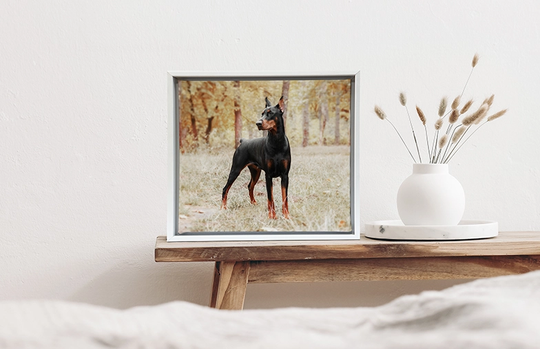 Stampe su Tela Personalizzate