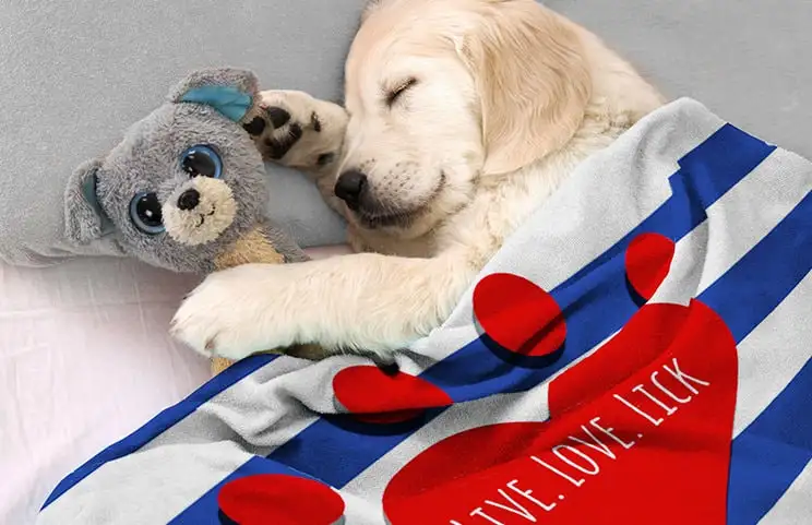 Cucciolo a letto con coperta personalizzata con design di testo personalizzato