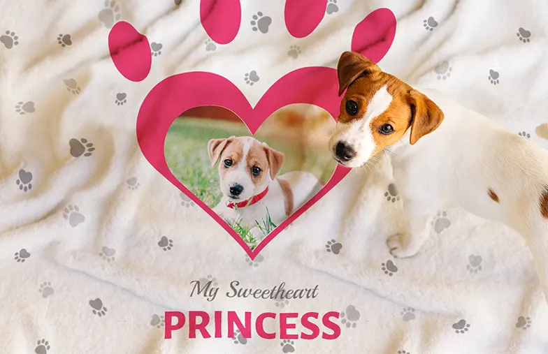 La Coperta Personalizzata per il Tuo Pet