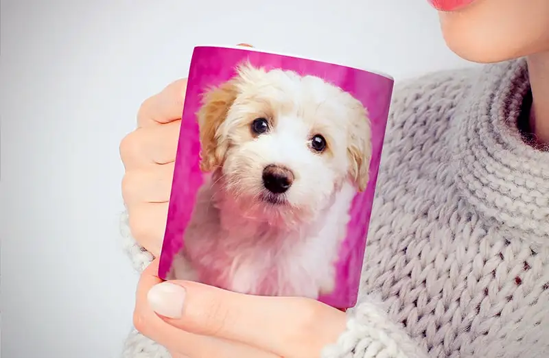 Tazza fotografica personalizzata con la tua foto di un cane