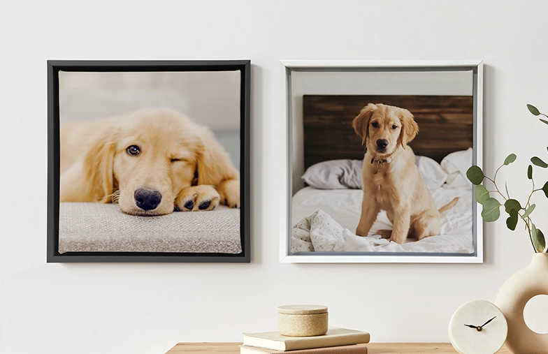 Stampe su Tela Personalizzate