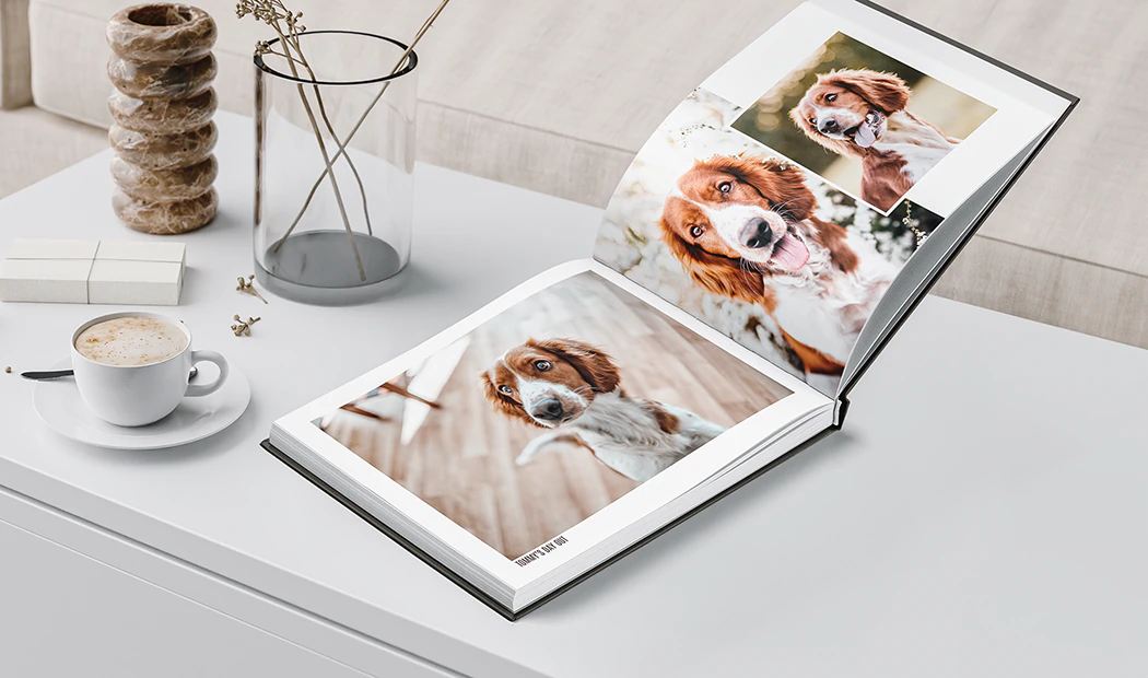 Grandi Album Fotografici in Tessuto