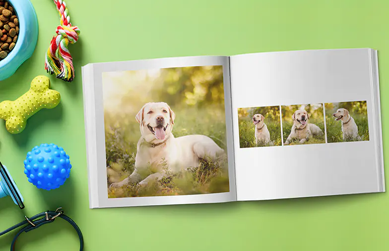 Momenti Moderni nel Libro Fotografico Bianco