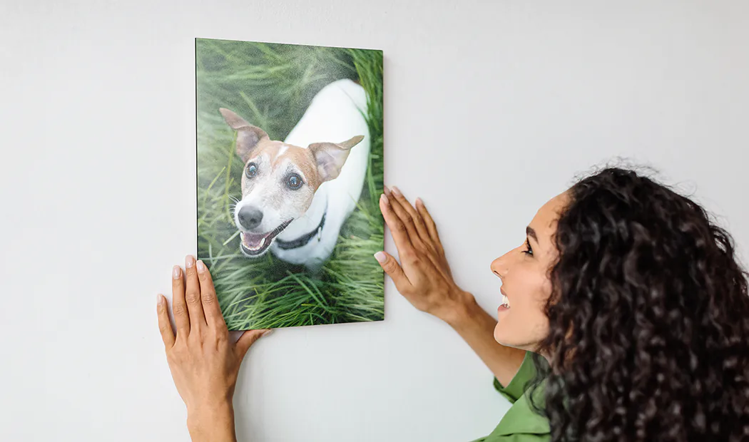 Senza Chiodi, Senza Danni