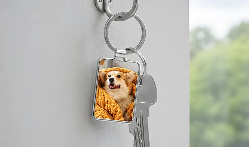 Facile creazione online