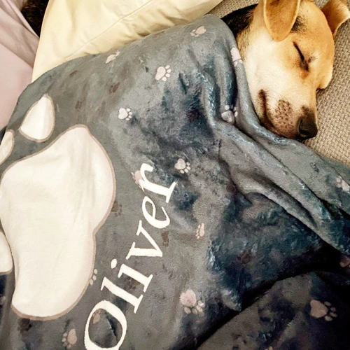 Sono rimasto piacevolmente sorpreso da quanto il mio cane ami essere coperto dalla sua coperta. La qualità è eccellente e il materiale è incredibilmente morbido. Servizio fantastico.